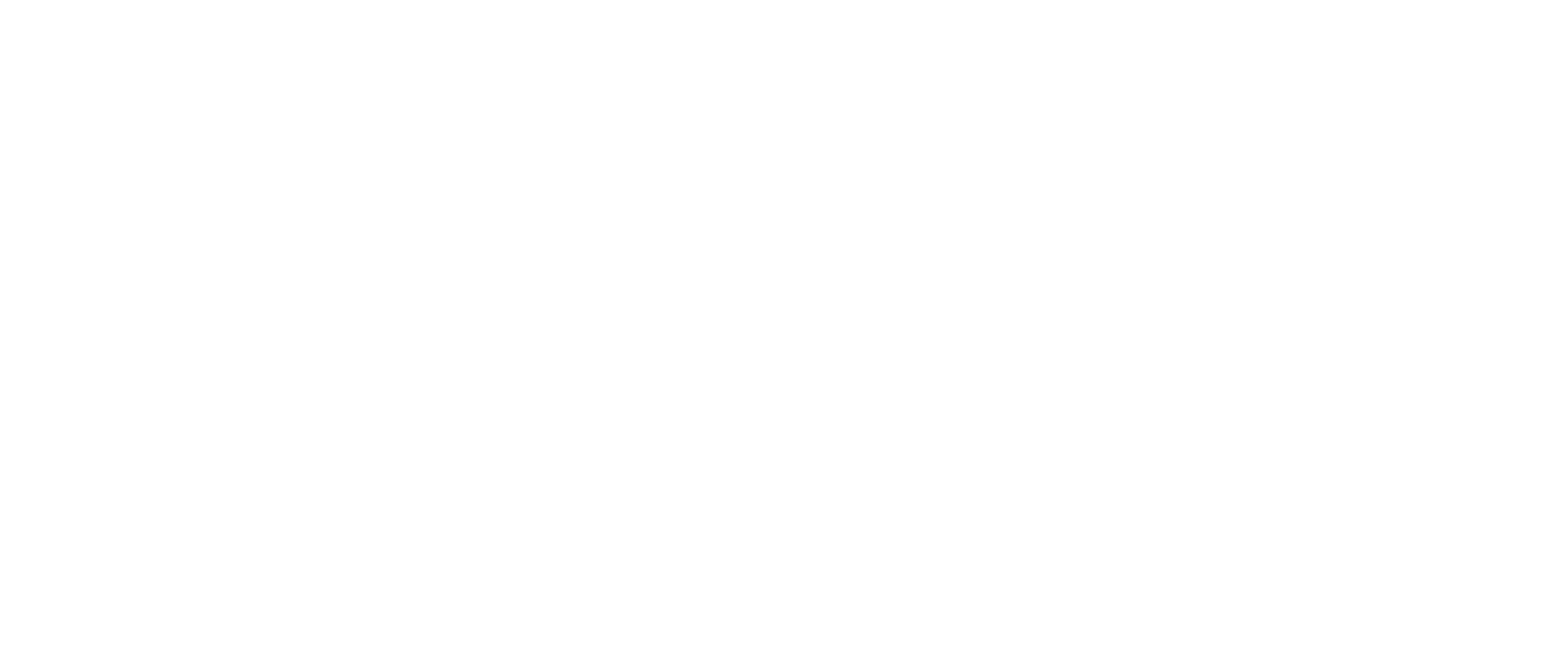 solvenag logo